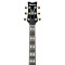 قیمت خرید فروش گیتار الکتریک Ibanez AR220 IV